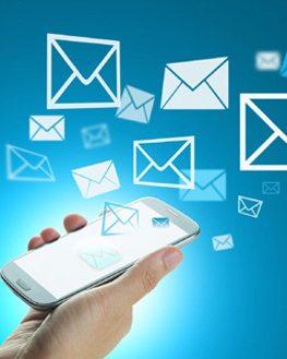 SMS Blast / Email Blast